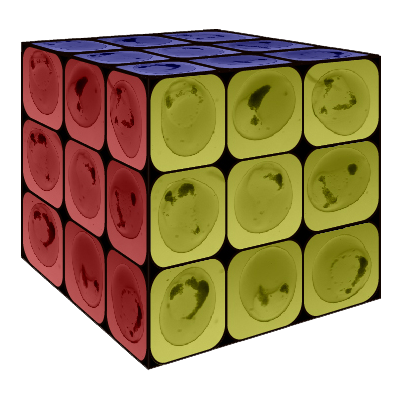 rubix eGRIDE