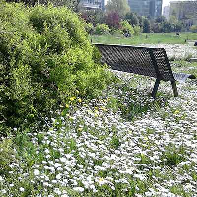 Image d'un banc dans un jardin