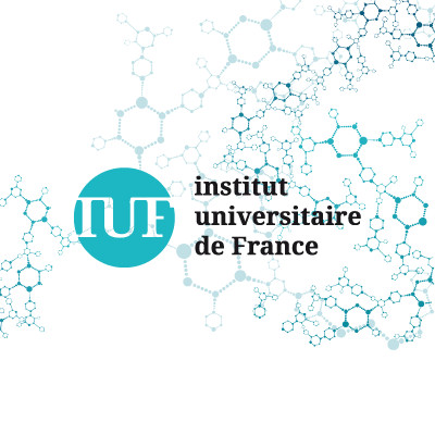 Logo IUF