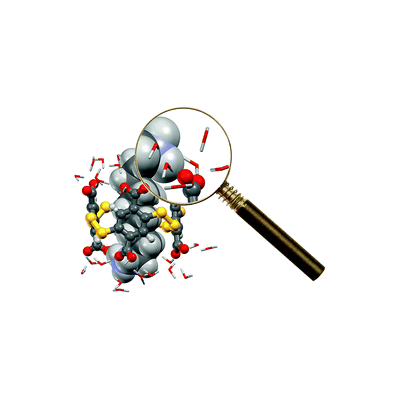 Exploration du rôle des molécules d’eau dans la formation de complexes d’inclusion entre polyélectrolytes