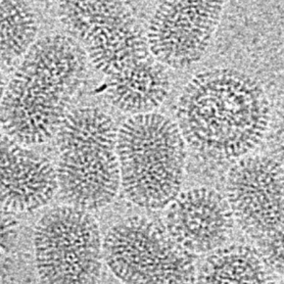 Cellules