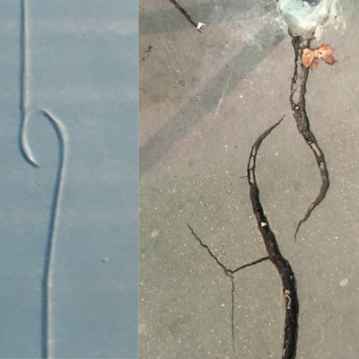 Fissures