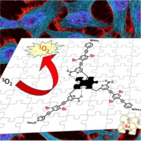 Illustration de Galland et al. 2019