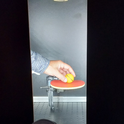Balle de ping-pong