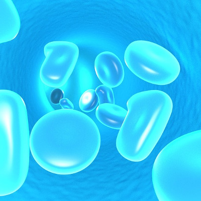 Cellules