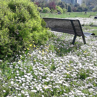 image d'un jardin