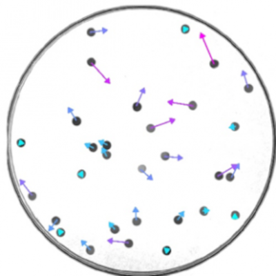 Particules