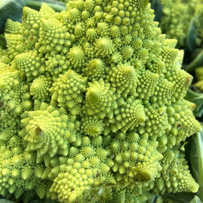 Chou romanesco