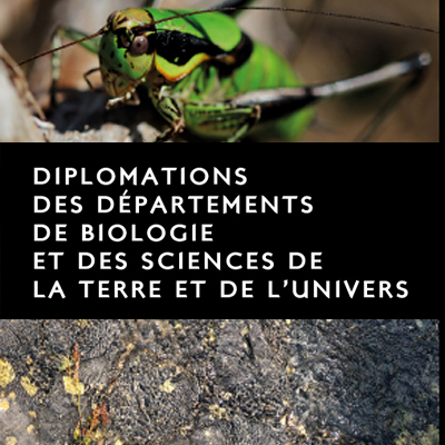 vignette diplomation
