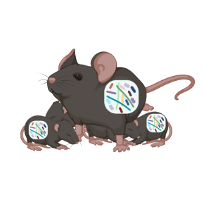 Souris © Filipe De Vadder