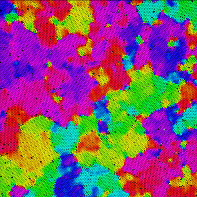 Orientation de l’ordre cristallin dans une polycristal autoassemblé de rotors microscopiques