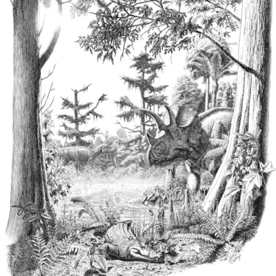 Reconstitution de la formation Horshoe Canyon