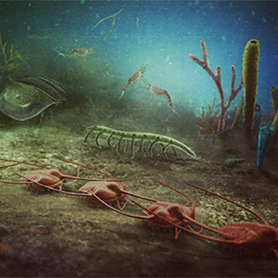 Illustration de l'article
