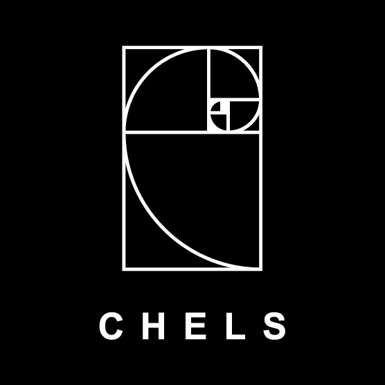 Logo du CHELS