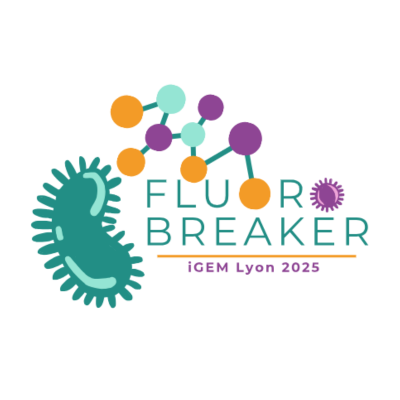 Logo iGEM Lyon 2025, illustrant le nom du projet "Fluorobreaker" accompagné d’éléments visuels représentant des composants biologiques