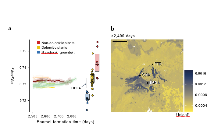 Schéma de définition géochimique et spatiale de LIDEA