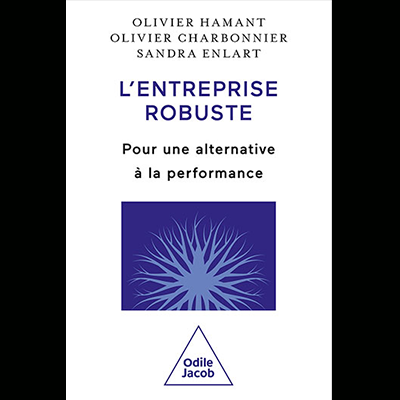 Couverture du livre L'entreprise robuste