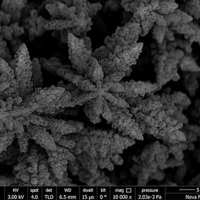 Image au microscope électronique à balayage du catalyseur Cu