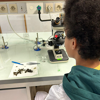 Un élève face à un microscope