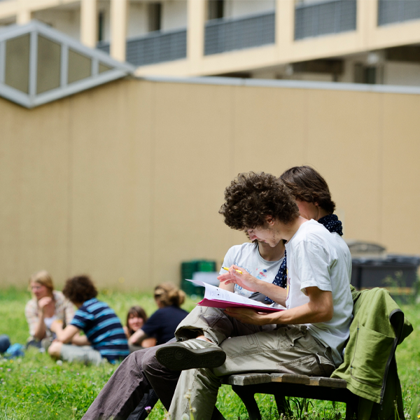 Étudiants en train de réviser dans le jardin