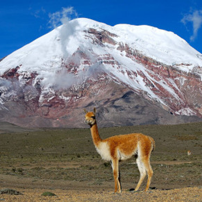 Le Mont Chimborazo