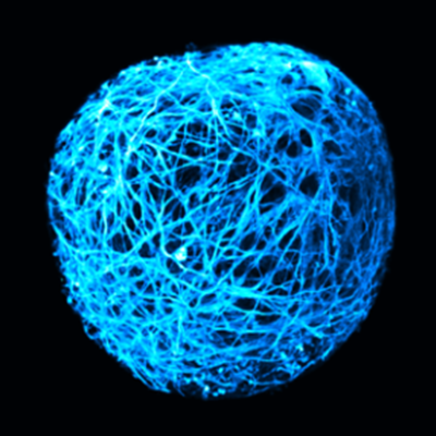 Sphère bleue. Image issue de recherches de scientifiques du GDR AQV.