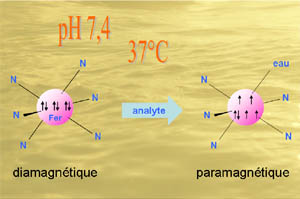 Représentation du principe de l'analyse de l’enzyme pénicilline amidase par un complexe de fer, dans les conditions biologiques (37°C et pH = 7,4)