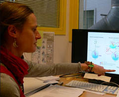 Marlène Dreux Virologie CIRI ENS Lyon