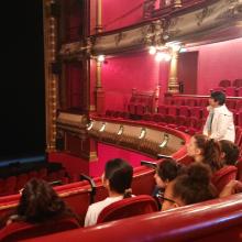 Vignette visite theatre celestins