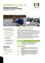 Fiche EVS