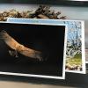 Biologie - La nature en images