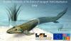 Tiktaalik roseae © Wikipedia